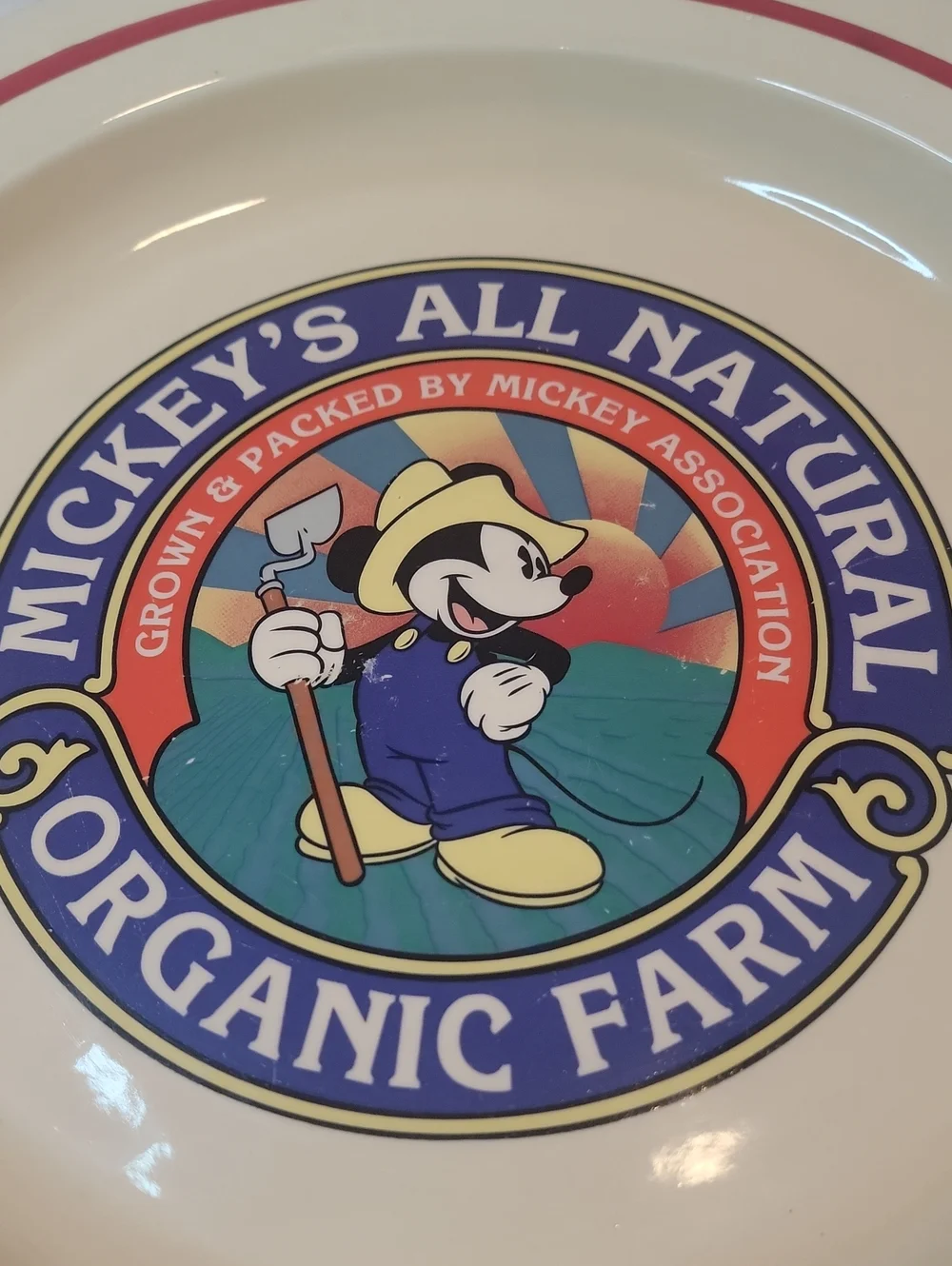 Disney's Mickey Organic Farm Ceramic Serving Plate - 13.5